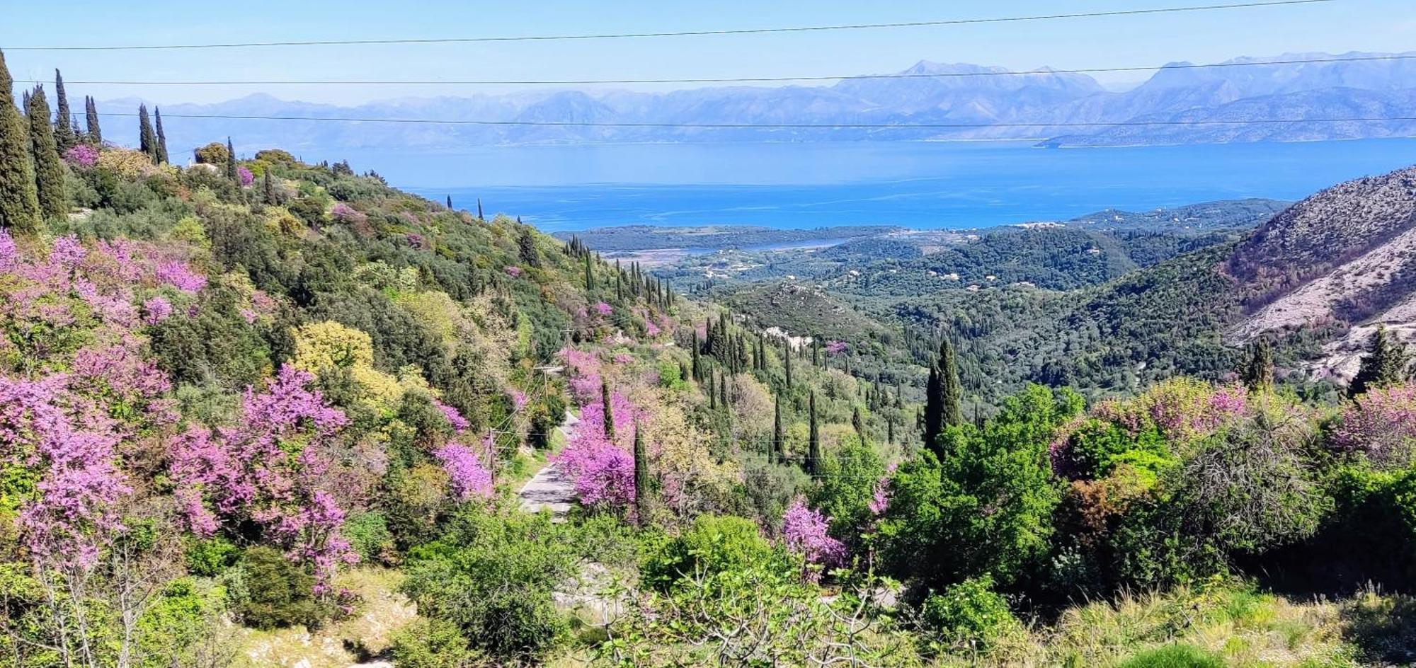 Castello Di Lafki Apartment Corfu  Екстериор снимка